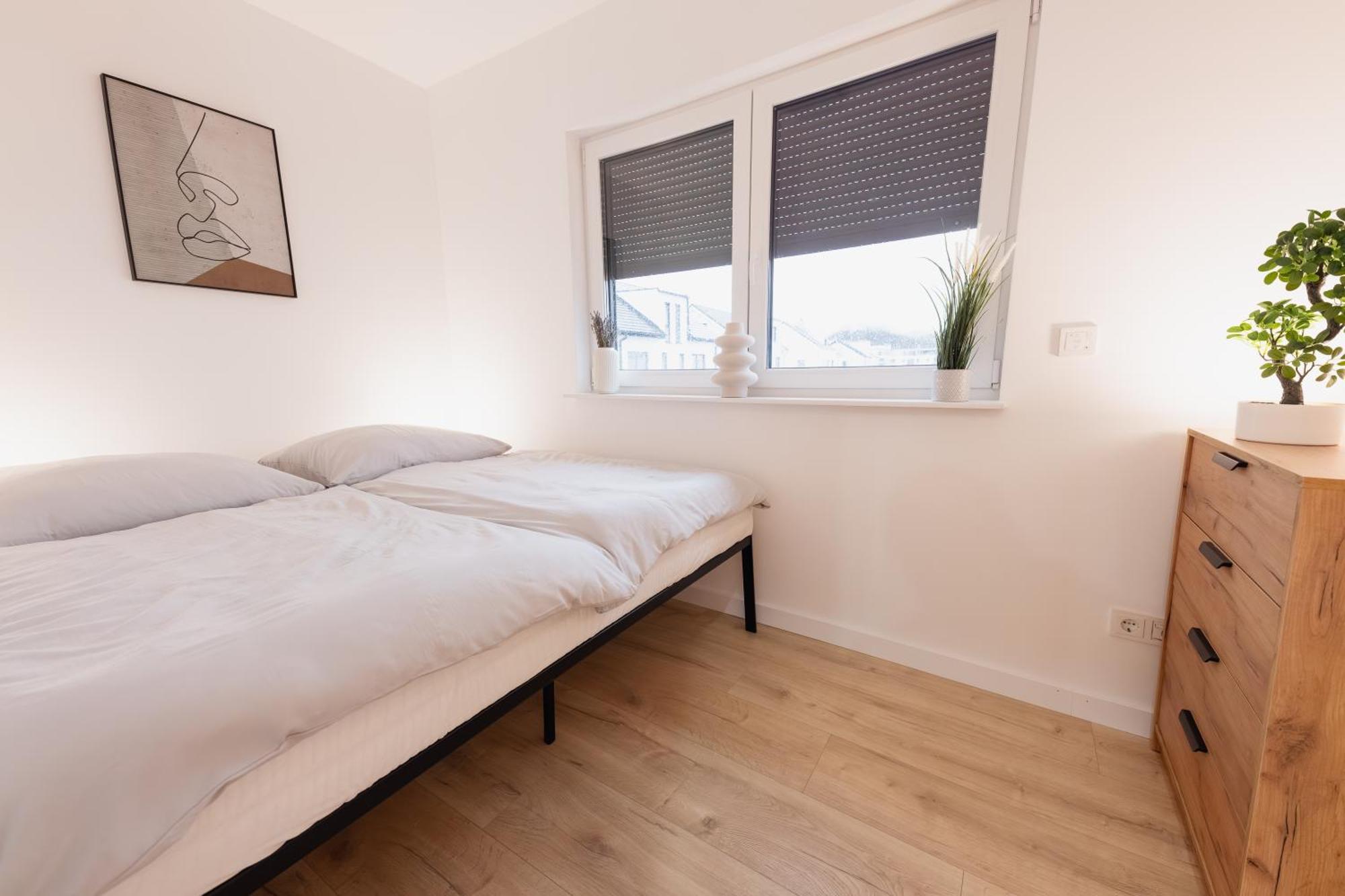 Neues Modernes Haus Am Tierpark